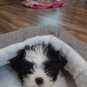 Meet your Posher, Destin